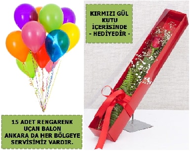 15 Adet uan balon ve kutuda krmz gl  Ankara iek , ieki , iekilik 